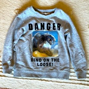 Sweatshirt with lenticular print